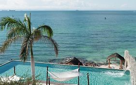 Orchid House Baja